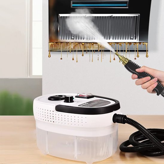 nettoyeur vapeur à main