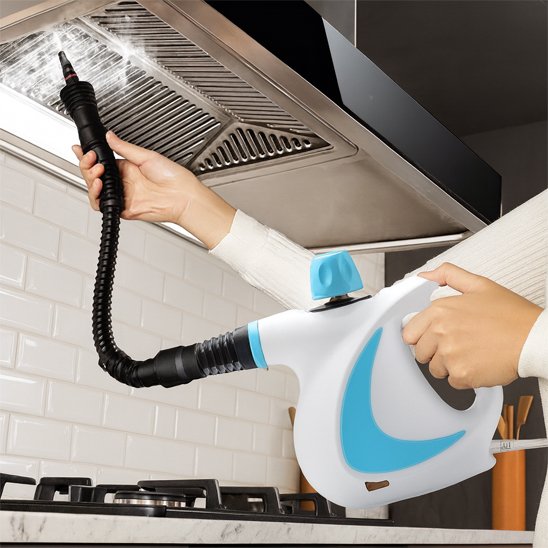 Nettoyeur vapeur à main